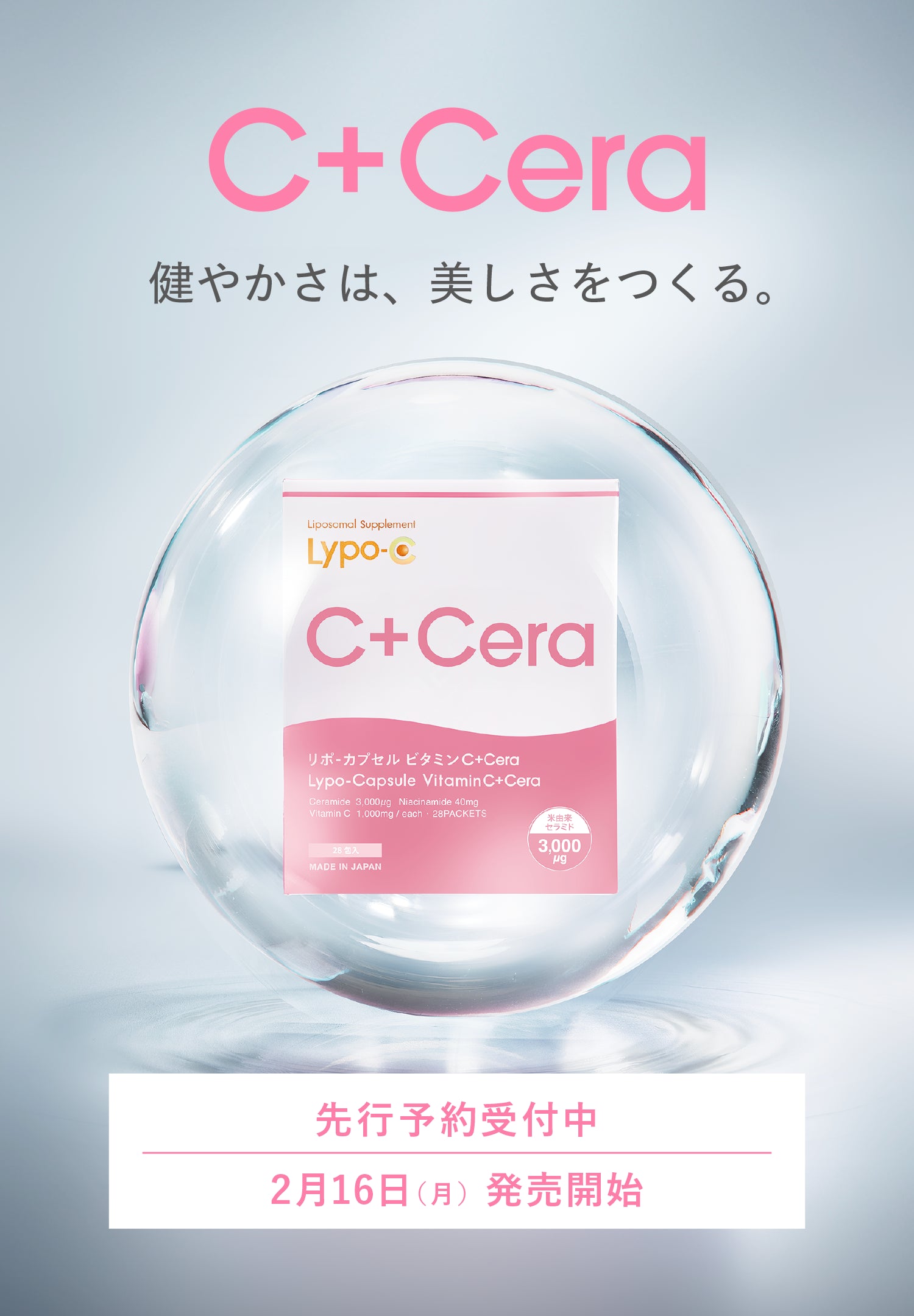 ファーストビュー画像