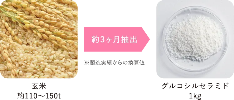 セラミド抽出過程