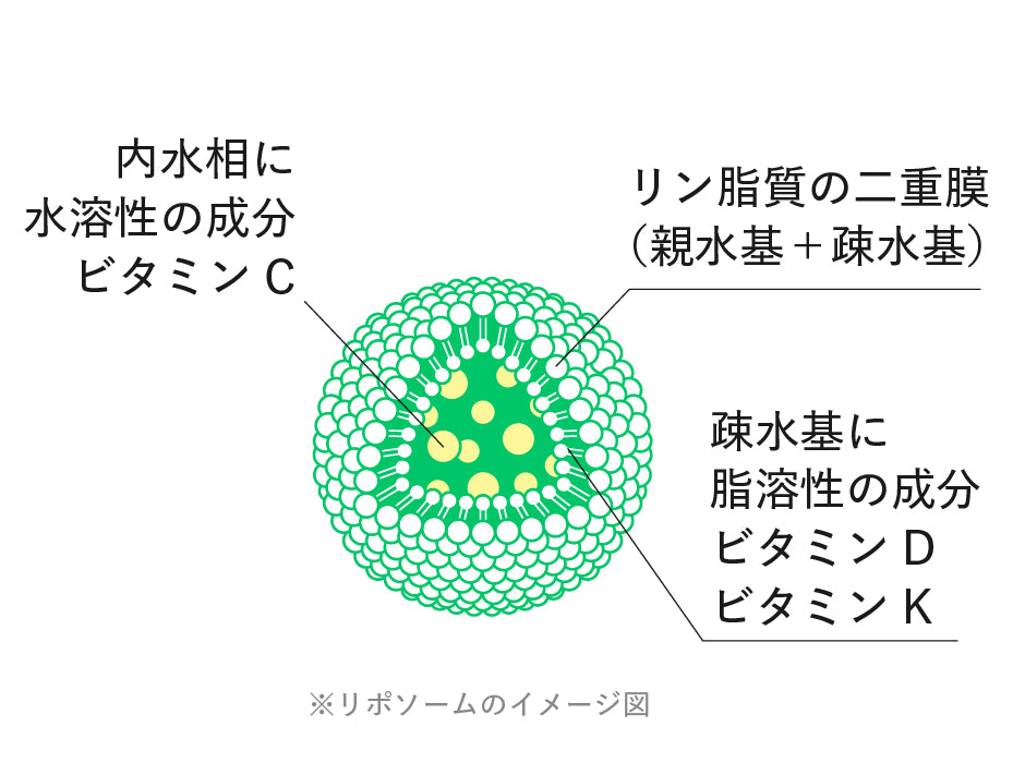 自のリポソーム技術で高吸収を追求