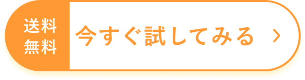 今すぐ試してみる