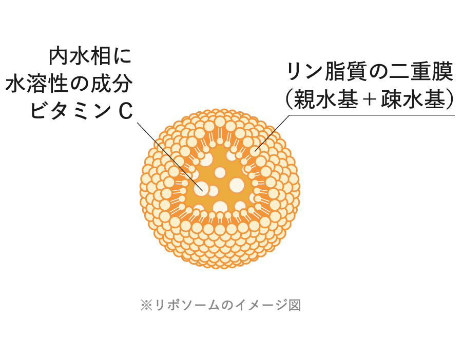 リポソームのイメージ図