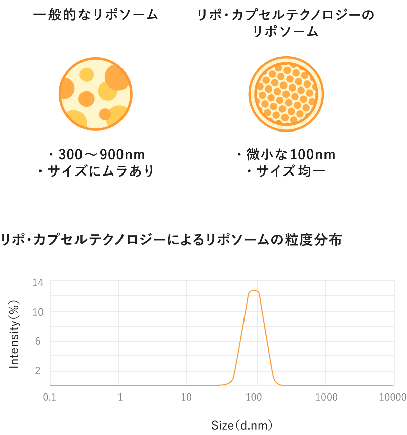 日本の高品質なリポソームイメージ・ビタミンCのサイズと吸収率の図