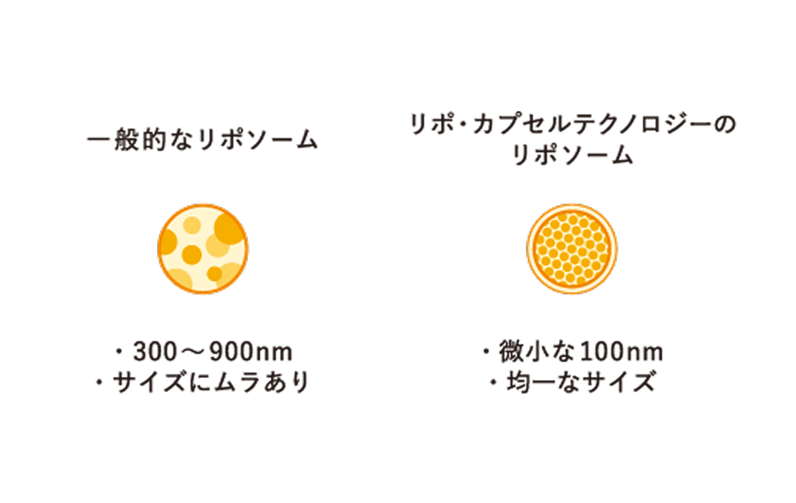 賞味期限長め⭐️SPIC リポカプセル ビタミンC  30包 リポC 30包 リポカプセル ビタミンC SPIC - 健康用品オンライン