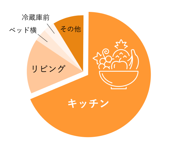 キッチン　リビング　ベッド横　冷蔵庫前　その他